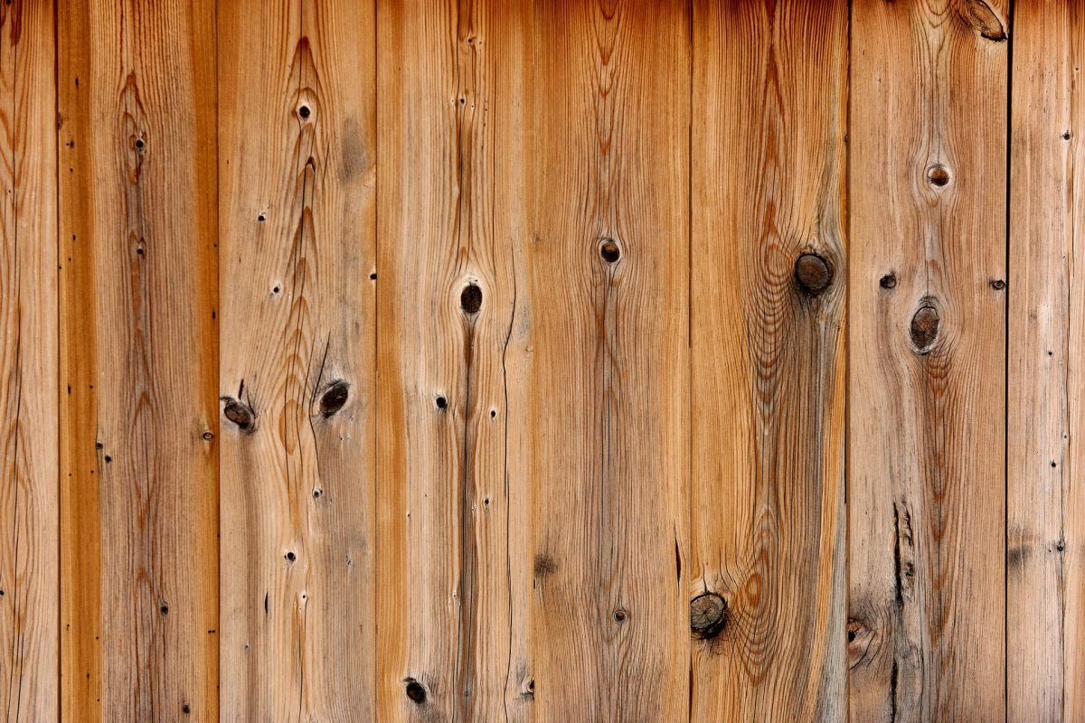 Szkodniki drewna sosnowego – jak zabezpieczyć drewno?
