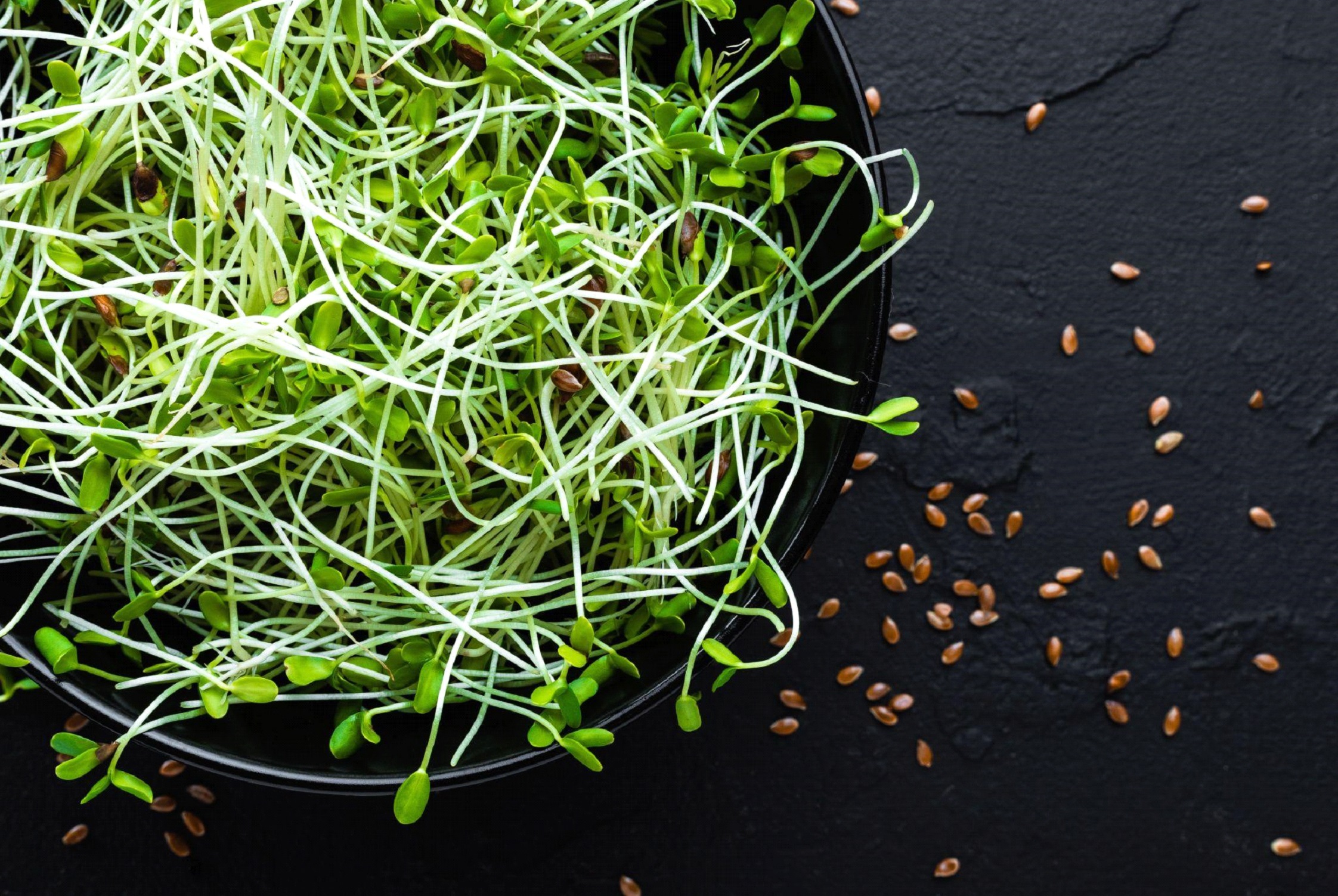 Nasiona na kiełki – naturalny sposób na zdrowie