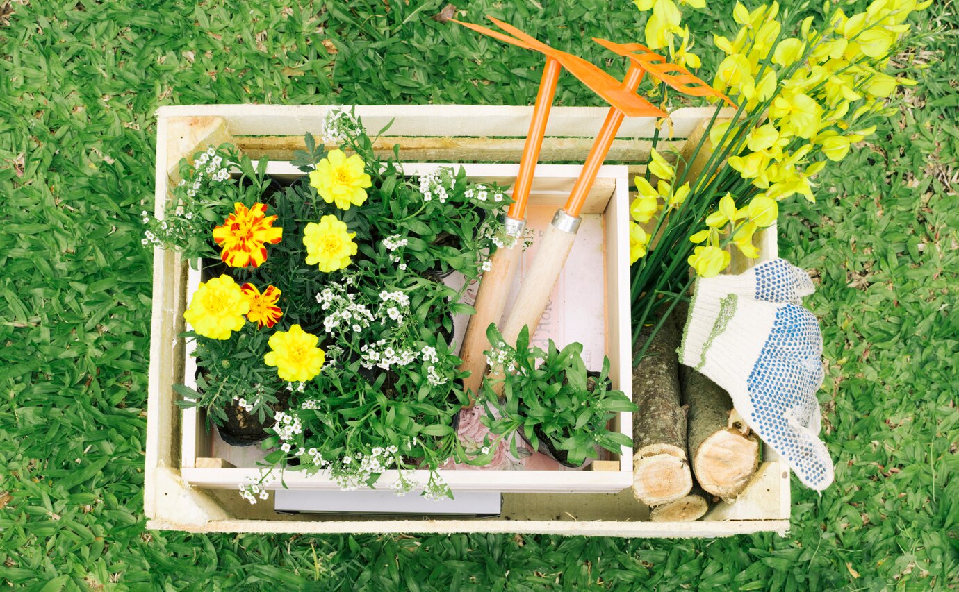 Jak wybrać idealne miejsce w ogrodzie dla twojej nowej skrzyni do przechowywania różnych rzeczy?