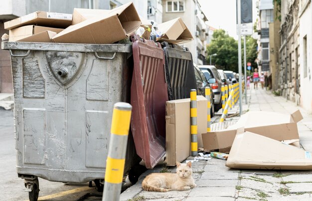 Jak efektywnie zarządzać odpadami budowlanymi za pomocą kontenerów na śmieci